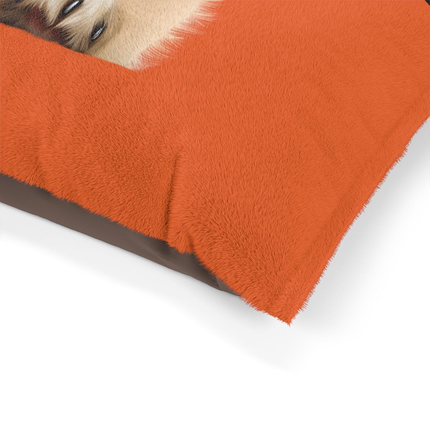 Pet Pillow - Personalised - Pomeranian